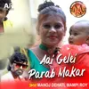 About Aai Gelei Parab Makar Song